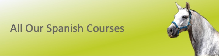 All our Spanish Courses